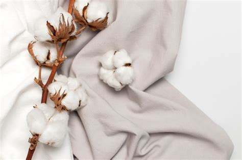  Crisp Cotton: Uma Análise Detalhada do Rei dos Tecidos Naturais!