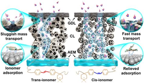 Ionomers: Explorando os limites da biocompatibilidade e versatilidade em aplicações médicas!