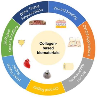 Colágeno em Biomateriais: Um Super-Herói da Regeneração Tisular!