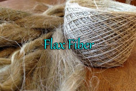  Flax Fiber: Uma Fibra Natural Multifacetada para Aplicações Industriais e de Alta Tecnologia!