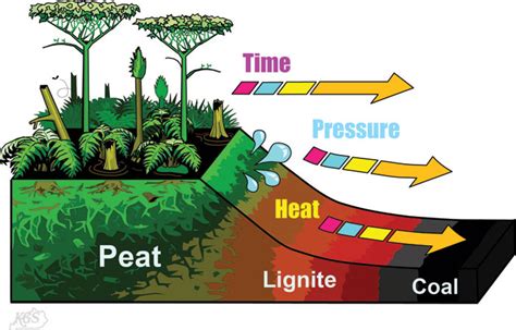  Lignite: A Deep Dive into This Ancient Fossil Fuel for Power Generation and Chemical Production!