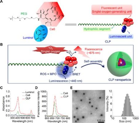  Luminescent Nanoparticles: Iluminando o Futuro da Tecnologia Óptica e da Engenharia Biomédica!